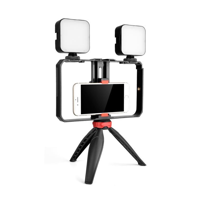 YELANGU PC203 YLG1801C Vlogging Live Broadcast LED Selfie Light Smartphone Video Rig Kit