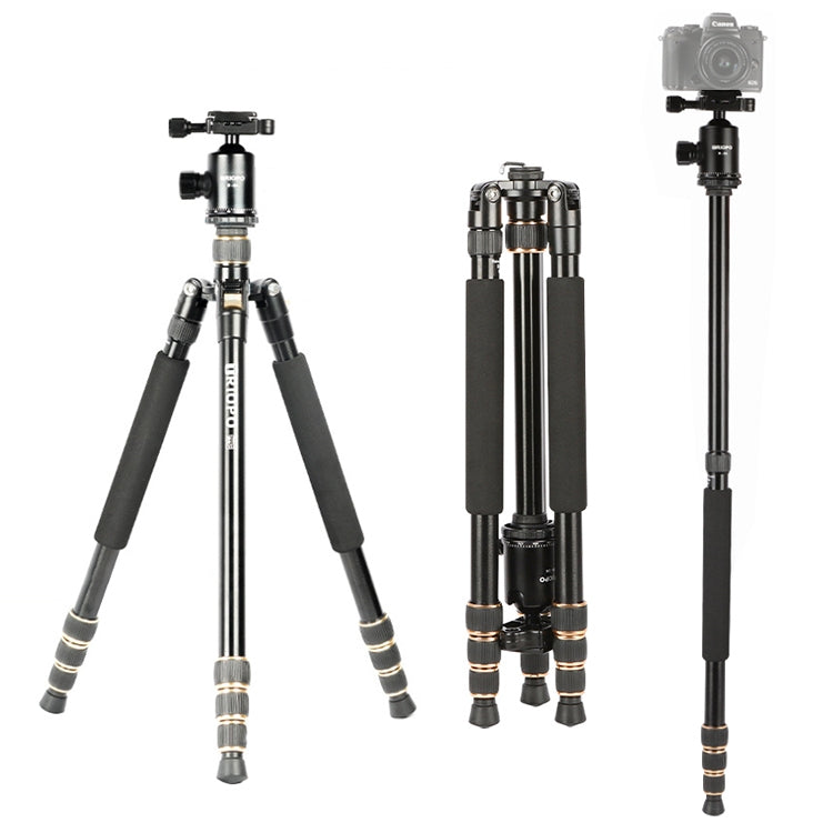 Adjustable Portable Aluminum Alloy Tripod with D-2A Ball Head for SLR Camera by TRIOPO 554