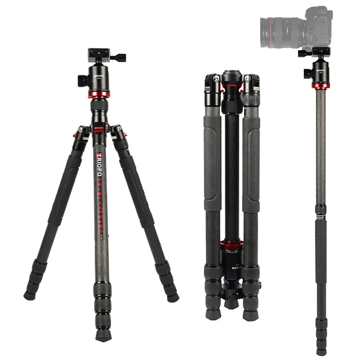 Adjustable Carbon Fiber Tripod with Q-2 Ball Head for SLR Camera