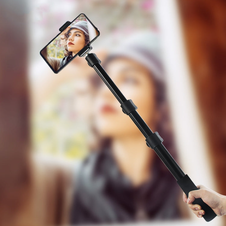BEXIN P-264L Portable Aluminum Alloy Camera Monopod for Outdoor Photography