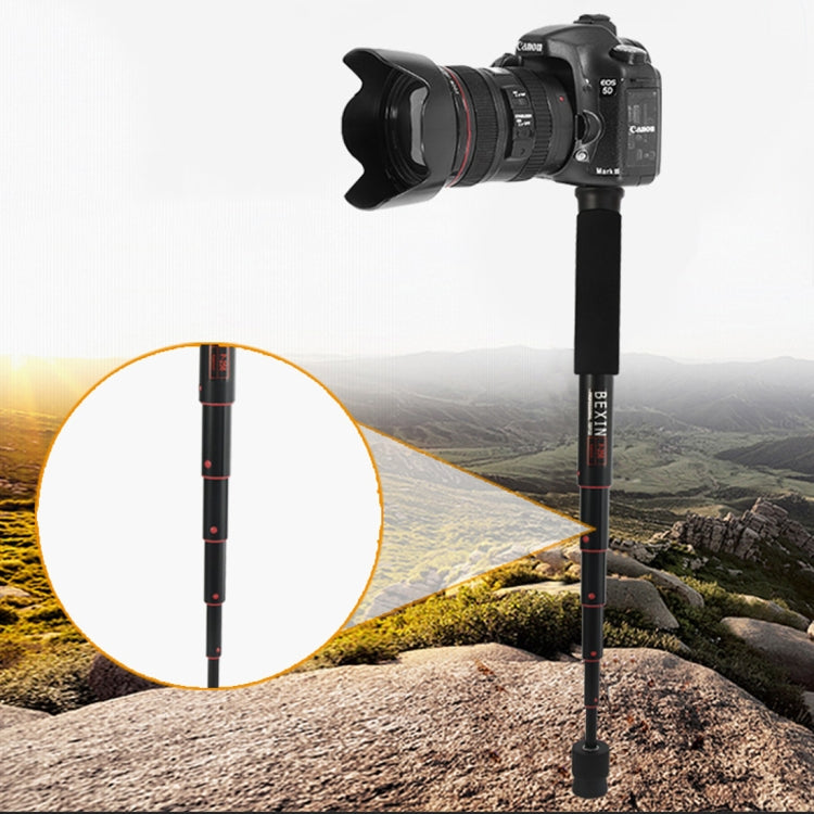 BEXIN P256A Aluminum Alloy Monopod Holder for DSLR Camera (Black)