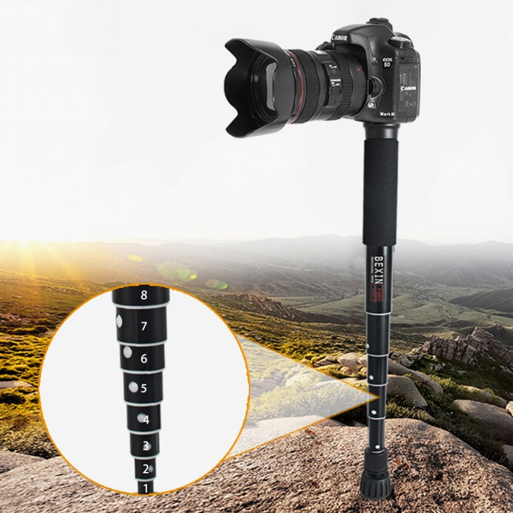 BEXIN P308D Portable Aluminum DSLR Camera Monopod (Black)