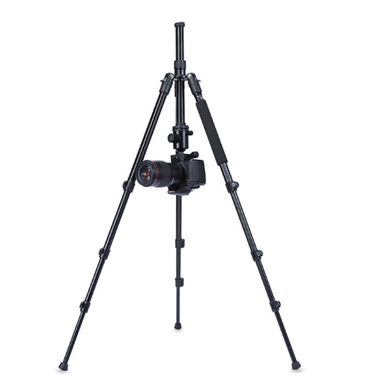 Adjustable Lightweight Aluminum Alloy Tripod with Ball Head for SLR Camera