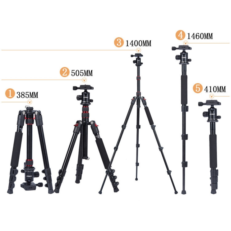 Adjustable Portable Aluminum Alloy Tripod with Ball Head for SLR Camera - TRIOPO Oubao A-208S