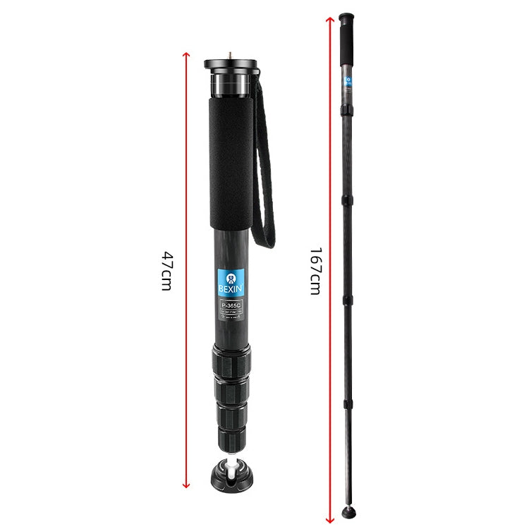 Ultimate Carbon Fiber Monopod for Travel Photography