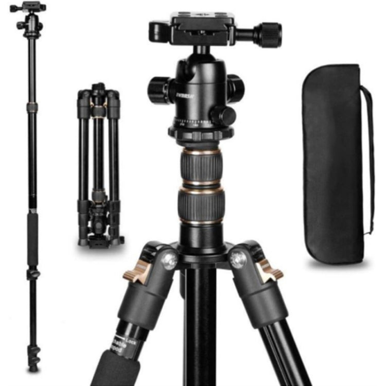 Adjustable Portable Aluminum Alloy Tripod with Ball Head for SLR Camera (Gold) by TRIOPO K2508S+B1S
