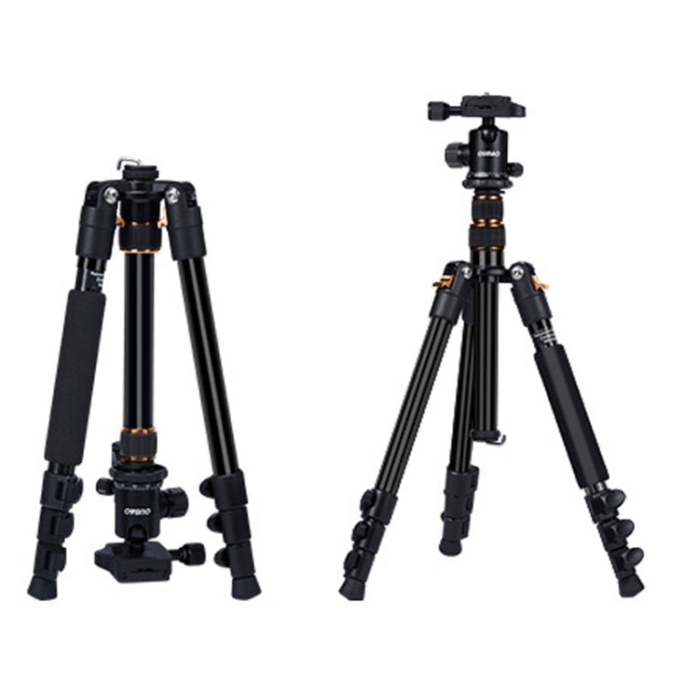 Adjustable Portable Aluminum Alloy Tripod with Ball Head for SLR Camera (Gold) by TRIOPO K2508S+B1S