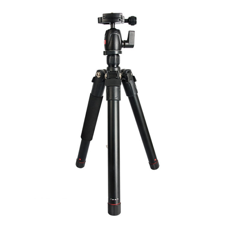 BEXIN MS12 Lightweight Camera Tripod with Ball Head for Digital SLR and DSLR Cameras
