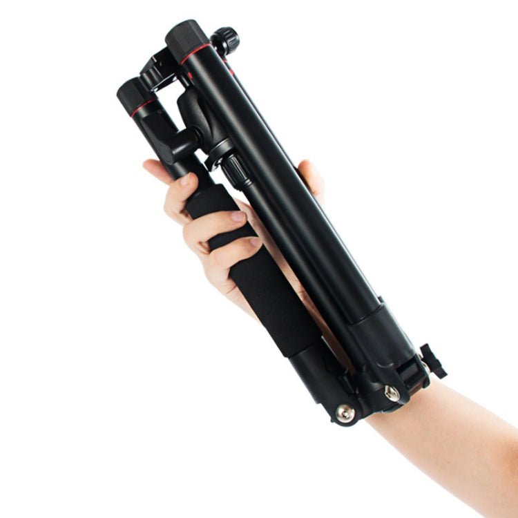 BEXIN MS12 Lightweight Camera Tripod with Ball Head for Digital SLR and DSLR Cameras