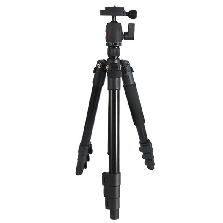 Flexible and Versatile Bexin MS11 Portable Tripods for Photography