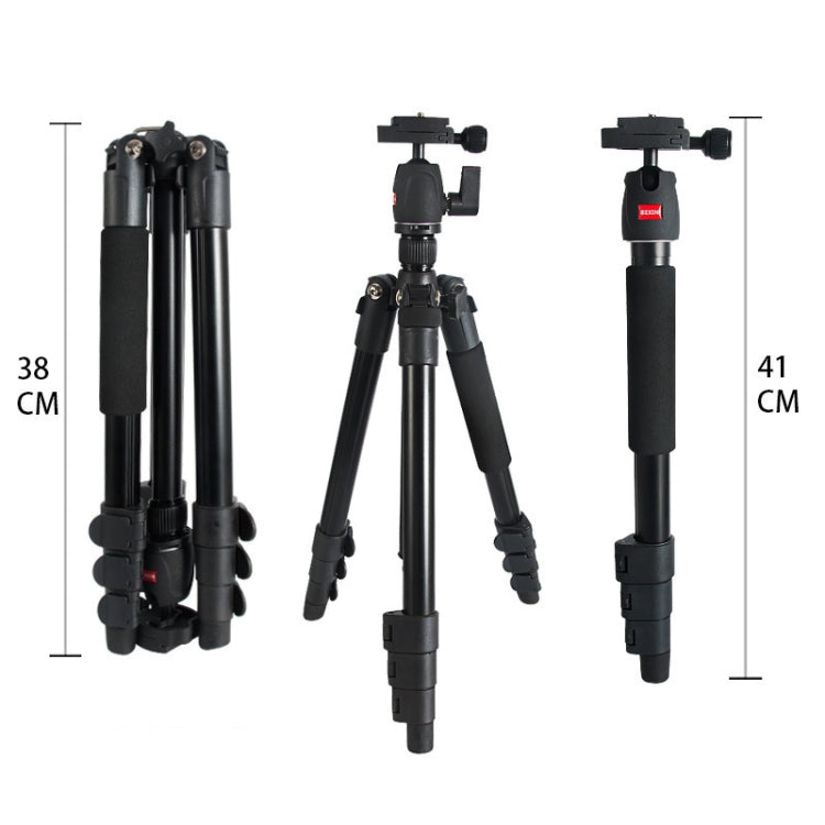 Flexible and Versatile Bexin MS11 Portable Tripods for Photography