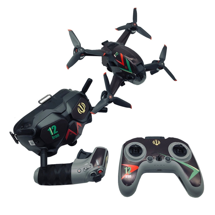 4-in-1 Black Pattern Decal Skin Wrap Stickers for DJI FPV Gear