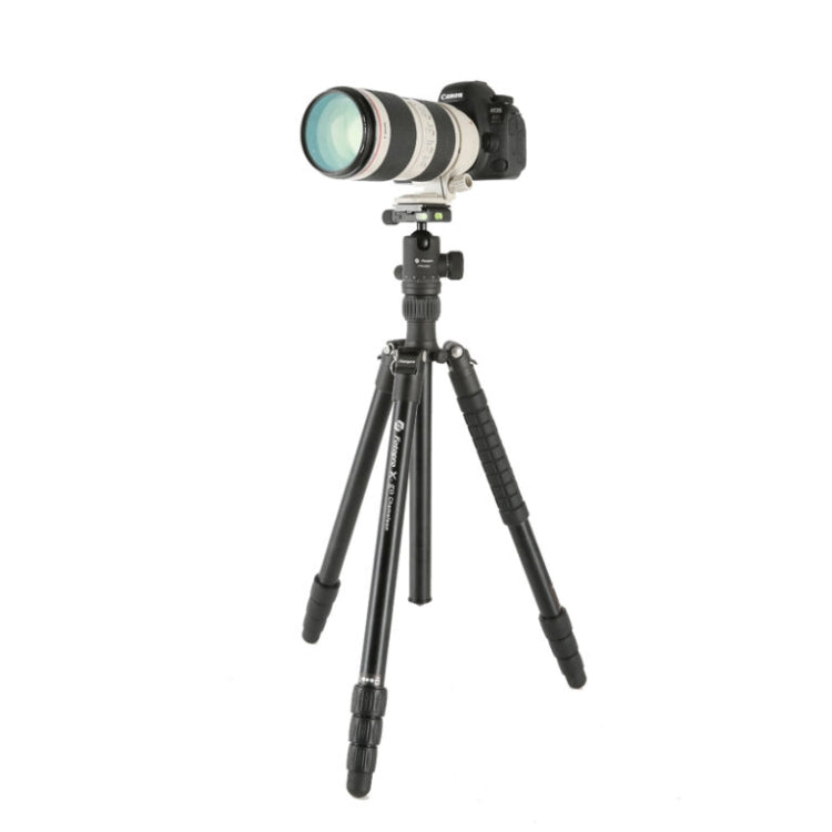 Fotopro X-go Chameleon E Collapsible Aluminum Camera Tripod with Dual Action Ball Head