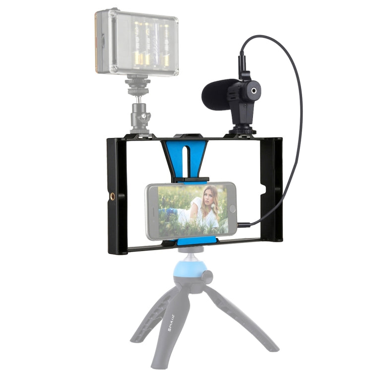 PULUZ 2 in 1 Live Broadcast Smartphone Video Rig + Microphone Kits for Professional Video Recording (Blue) [US Warehouse]