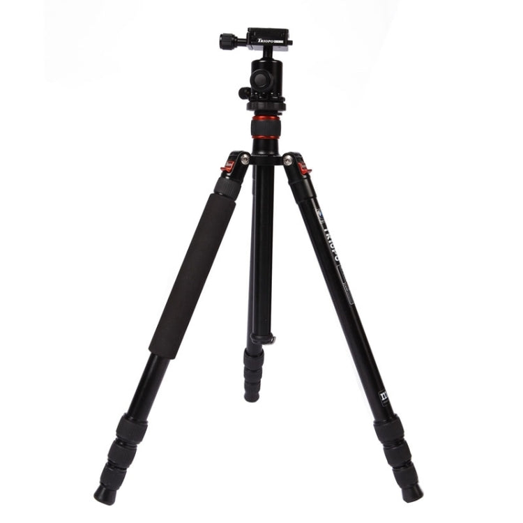 Adjustable Aluminum Tripod with Ball Head for DSLR Camera