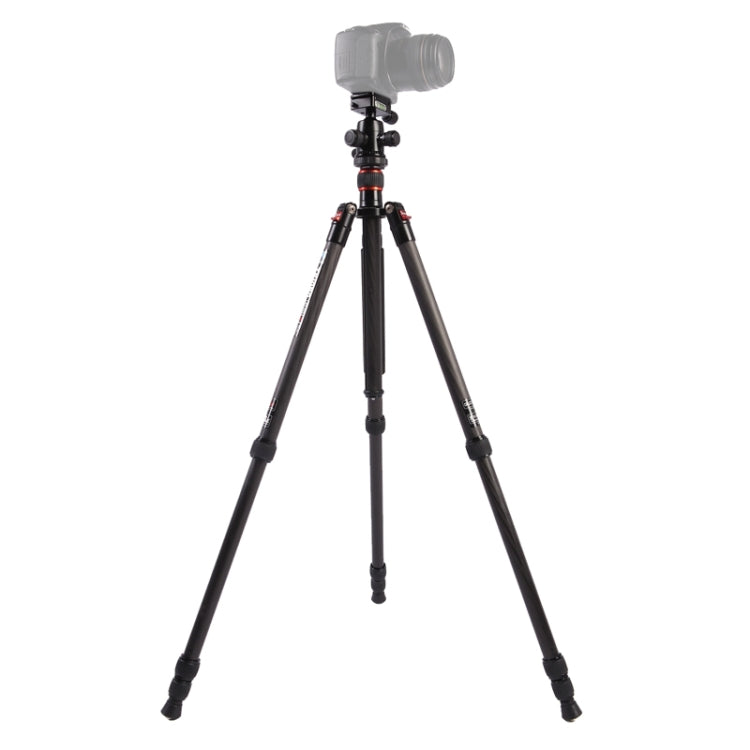 Adjustable Carbon Fiber Tripod with Ball Head for DSLR Cameras