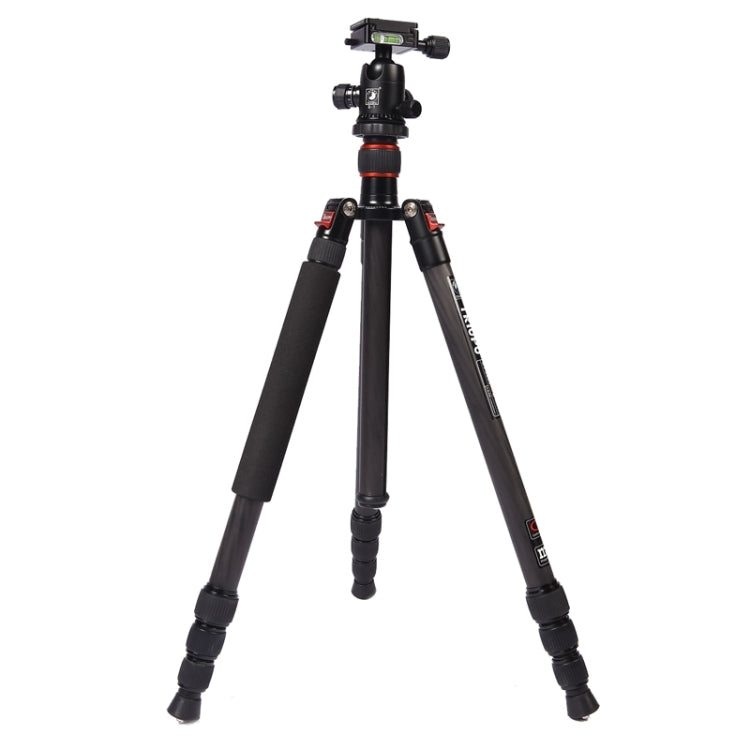 Adjustable Carbon Fiber Tripod with Ball Head for DSLR Cameras