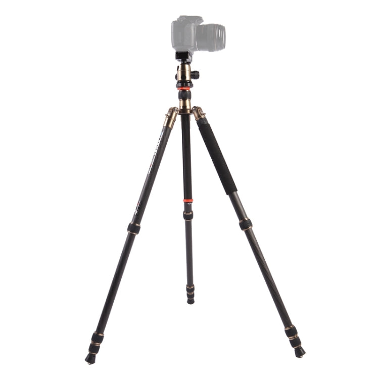 Adjustable Carbon Fiber Tripod with Aluminum Ball Head for DSLR Camera
