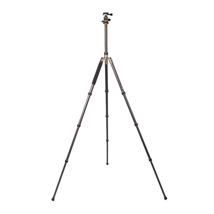 Adjustable Carbon Fiber Tripod with Aluminum Ball Head for DSLR Camera