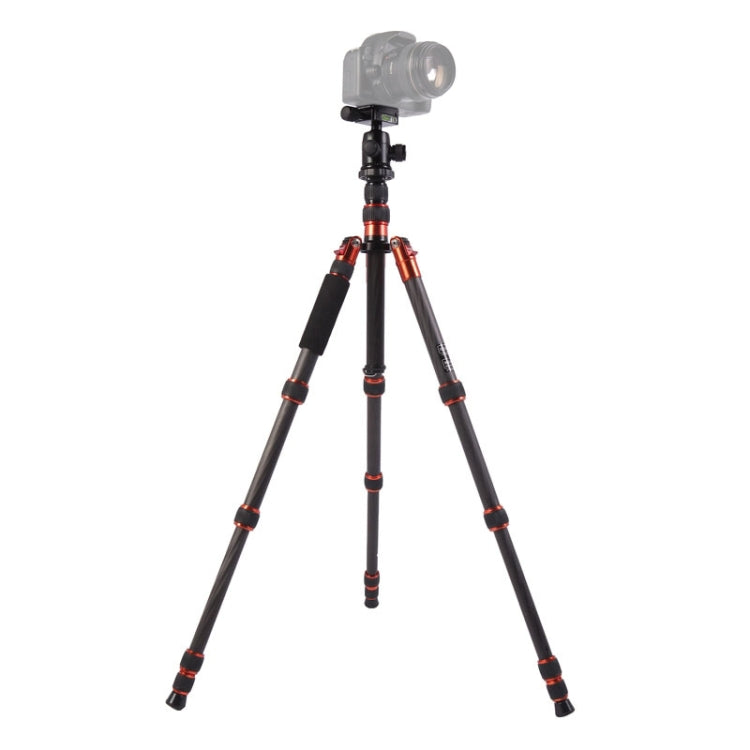 Adjustable Carbon Fiber Tripod with Aluminum Ball Head for DSLR Camera