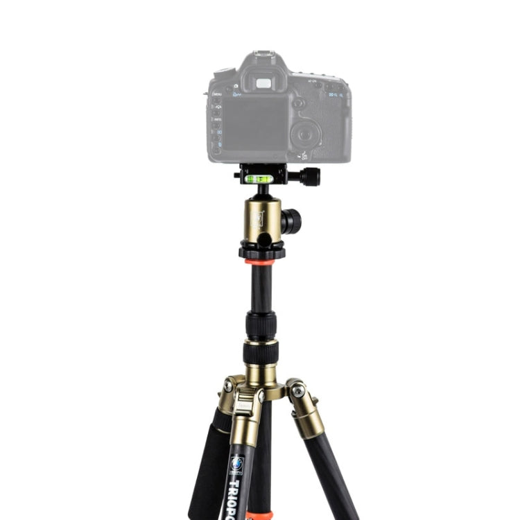 Adjustable Portable Carbon Fiber Tripod with Aluminum Ball Head for DSLR Camera