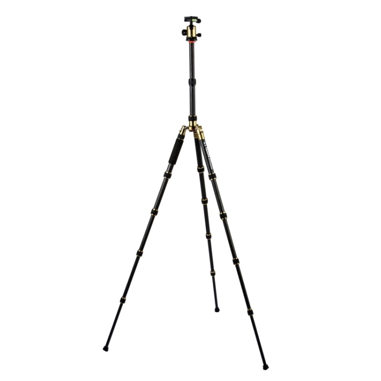 Adjustable Portable Carbon Fiber Tripod with Aluminum Ball Head for DSLR Camera