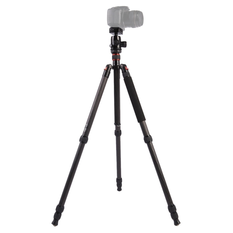 Adjustable Portable Carbon Fiber Tripod with Aluminum Ball Head and Accessories for DSLR Camera