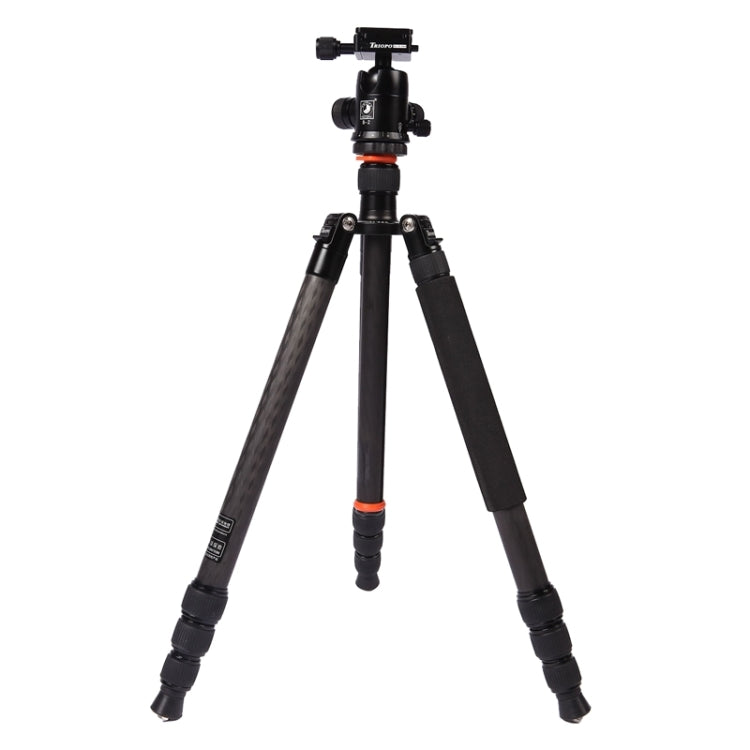 Adjustable Portable Carbon Fiber Tripod with Aluminum Ball Head and Accessories for DSLR Camera