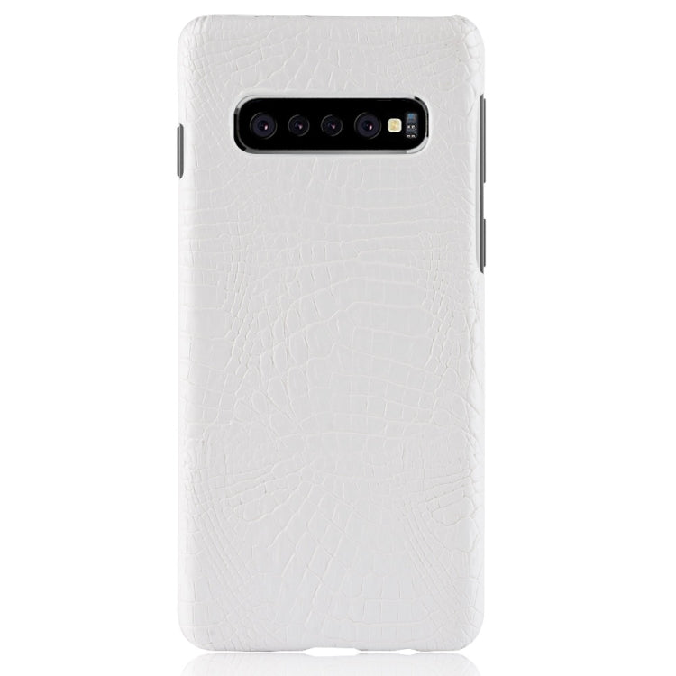 Shockproof Crocodile Texture PC + PU Case for Galaxy S10 5G (White)