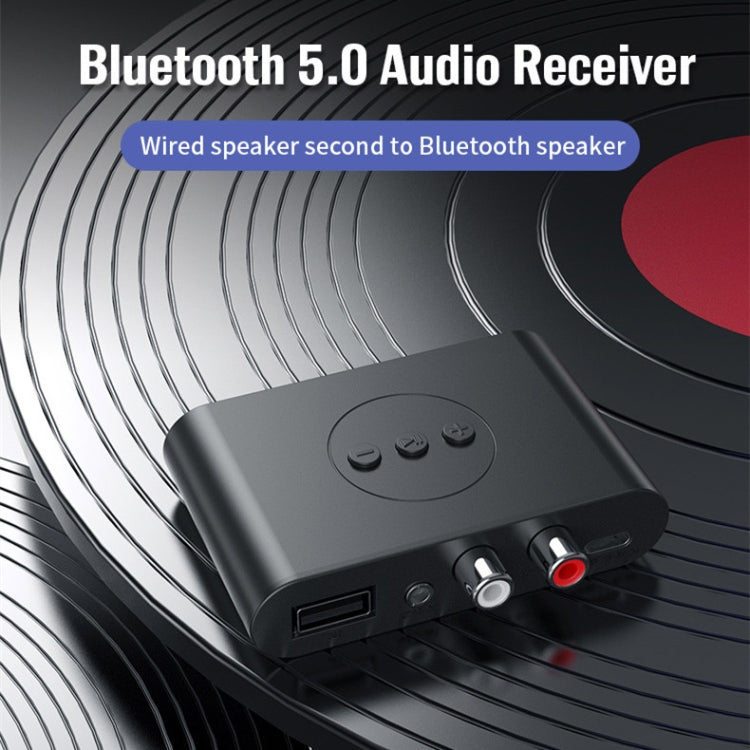 B21 Bluetooth 5.0 Audio Receiver with Multiple Playback Options