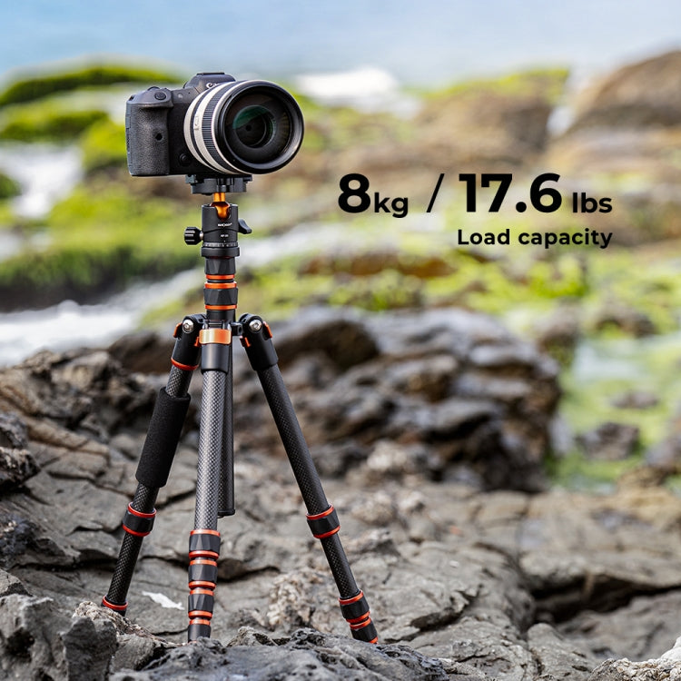 Portable Carbon Fiber Camera Tripod with Monopod Feature