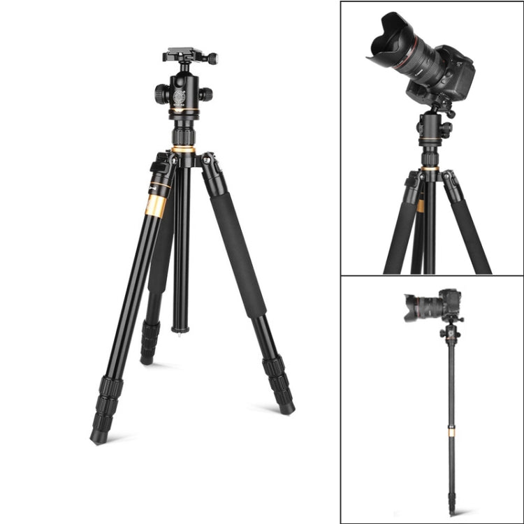 Q222 Portable Aluminum Alloy Tripod with Ball Heads