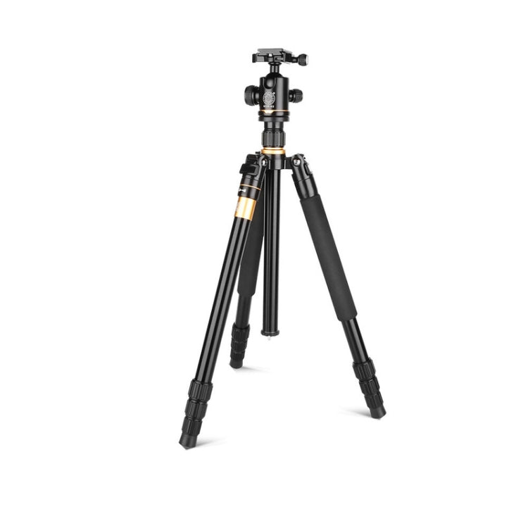 Q222 Portable Aluminum Alloy Tripod with Ball Heads