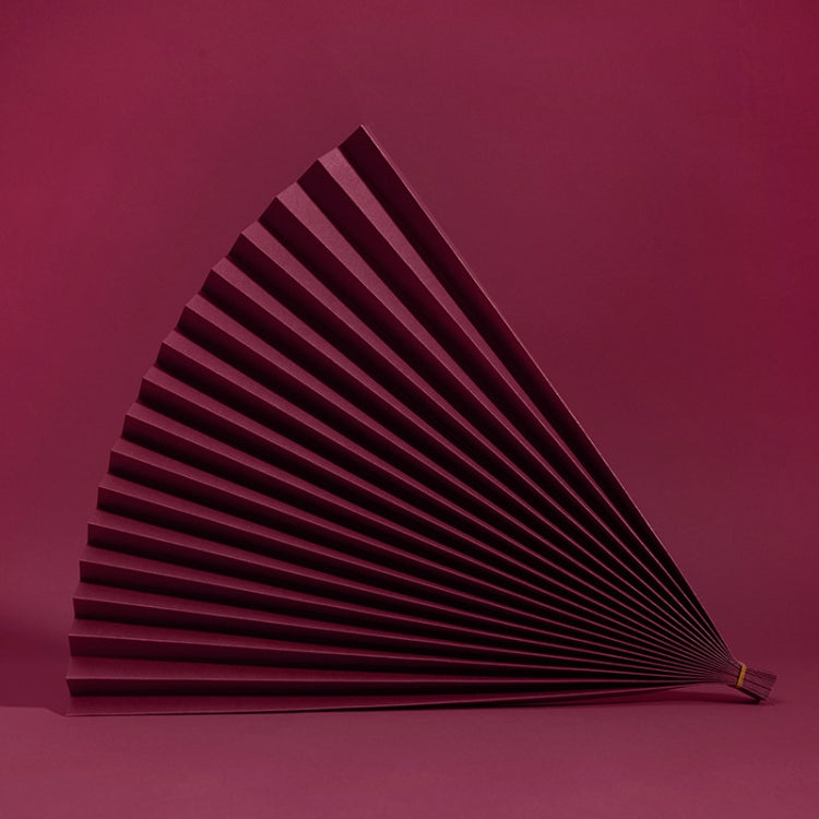 Colorful 2-Piece Folding Fans for Photography Background