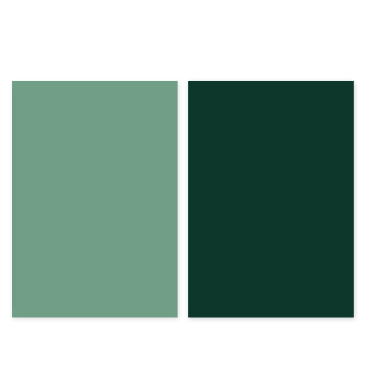 Morandi Series Double-Sided Photo Background Paper Set (2 PCS, Green Series)