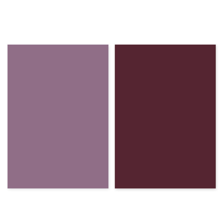 Double-Sided Photo Background Paper Set - Morandi Series in Clove and Purple