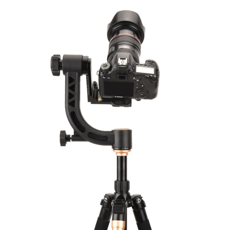 Q35 SLR Camera Telephoto Lens Bird Watching Tripod Head