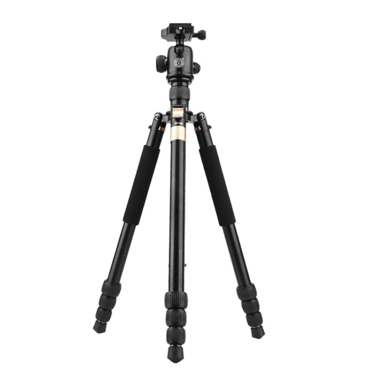 Photography SLR Digital Camera Tripod with Smooth Gimbal
