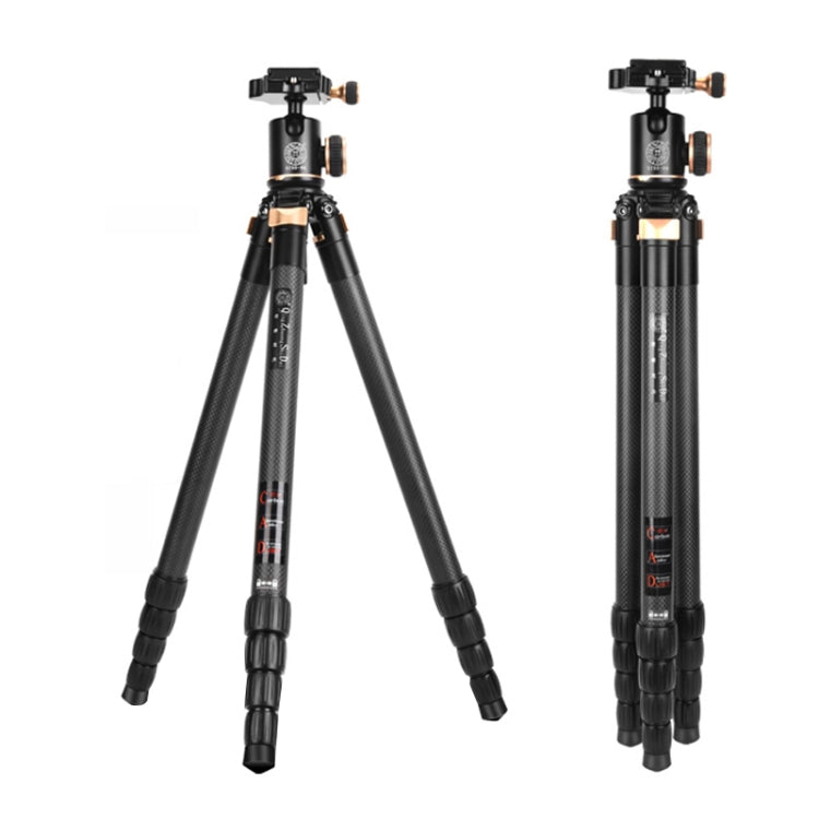 QingZhuangShiDai Q8805C Carbon Fiber Camera Tripod (Black Gold)