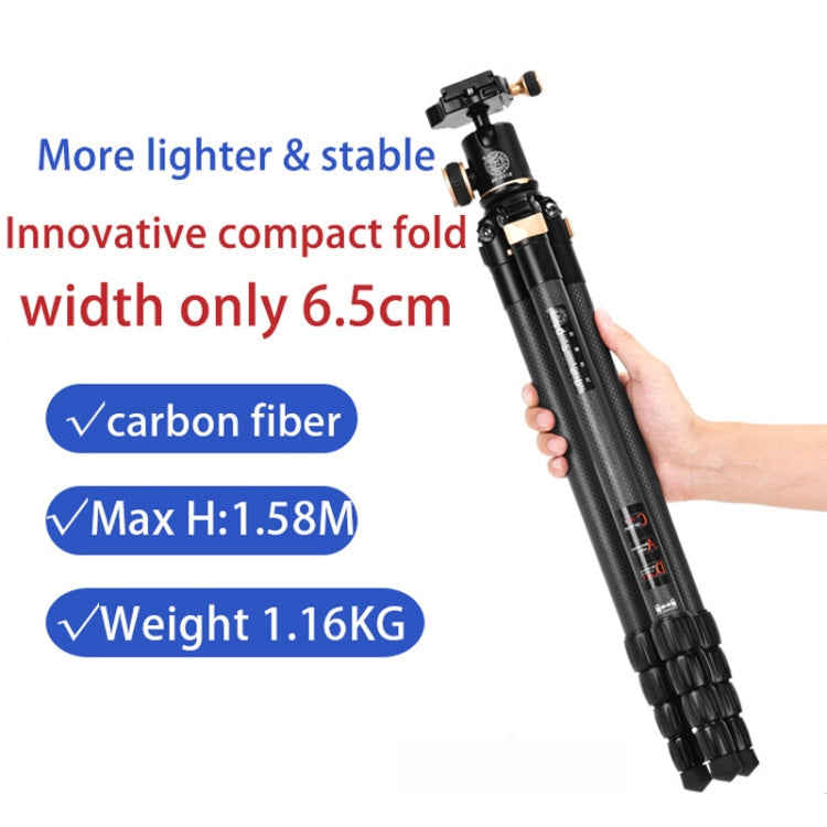 QingZhuangShiDai Q8805C Carbon Fiber Camera Tripod (Black Gold)