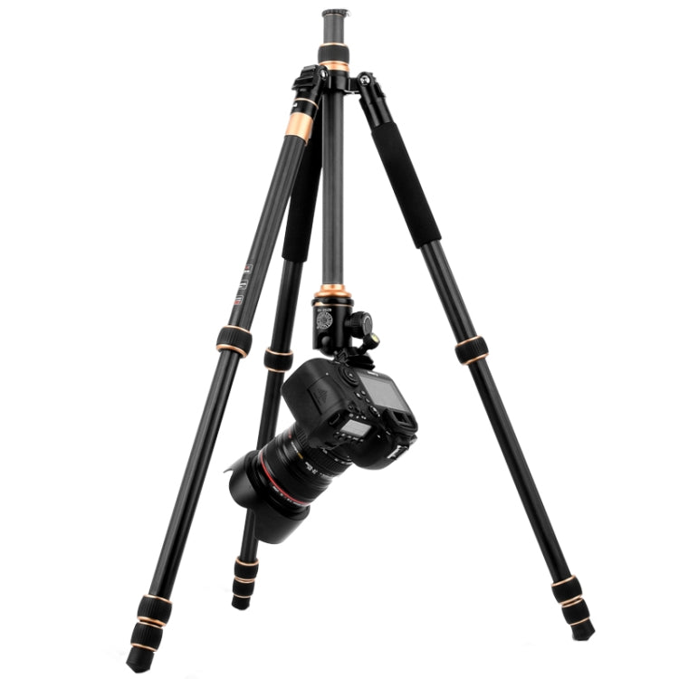 QingZhuangShiDai Q222C SLR Camera Carbon Fiber Portable Travel Tripod (Black)