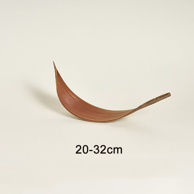 Natural Cocoa Leaves Plant Props for Photography and Home Decor
