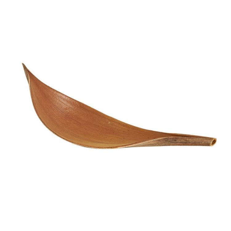 Natural Cocoa Leaves for Photography Props and Home Decor