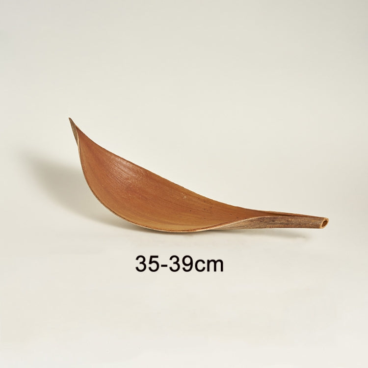 Natural Cocoa Leaves for Photography Props and Home Decor