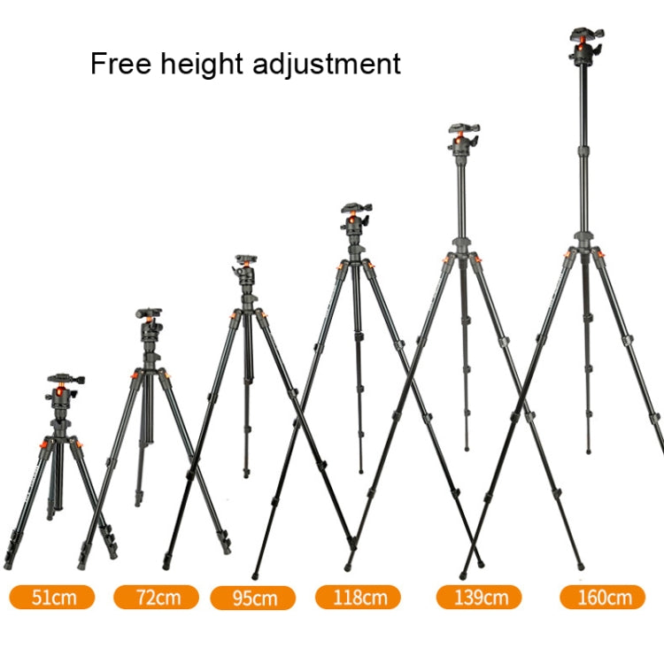 Portable DSLR and Cell Phone Tripod with Stability and Versatility