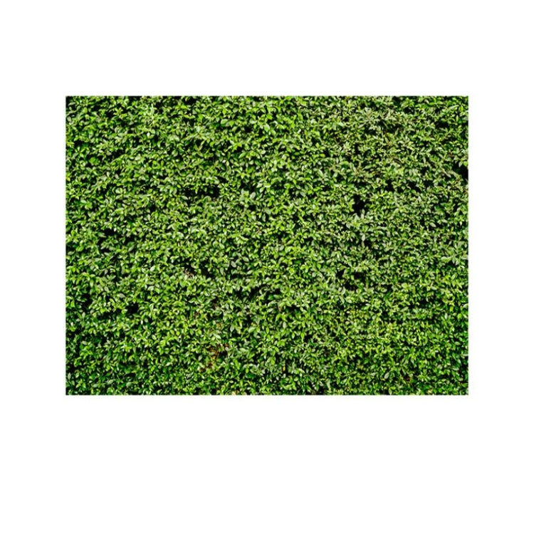 Green Leaves Photography Background Cloth for Party 2.1m x 1.5m