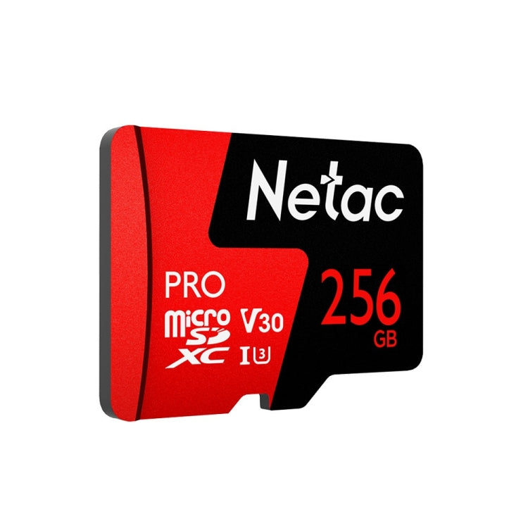 Netac P500 PRO 256GB U3 Speed Level Car Camera Memory Card TF Card