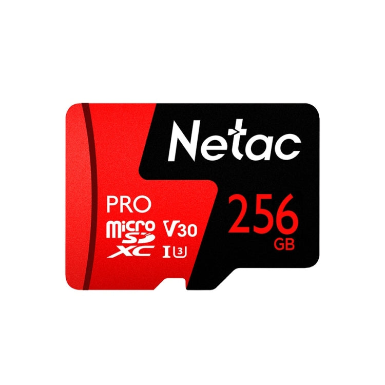 Netac P500 PRO 256GB U3 Speed Level Car Camera Memory Card TF Card